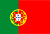 This is the flag of Portugal.  This means the script is in Portuguese.